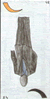 ge48a :ge48a: